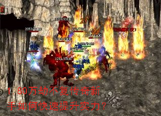 1.80��ٲ�������������ο�������ʵ����