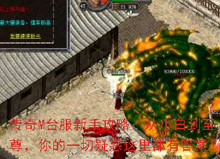 ����M̨�����ֹ��ԣ���С�׵��������һ���ɻ����ﶼ�д𰸣�