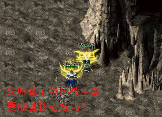 ��ʦ��ˢ���������Ҫ��Щ���ļ��ɣ�