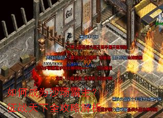 ��γ�Ϊɳ����������ս����ȫ���Խ���