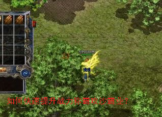 ��ο�������ս���ưԹ�ɳ��ҵ��