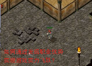 ���ͨ������ְҵ����ʵ����Ϸʵ����Ծ��