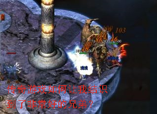 ������Ϸ������ҽ�ʶ���˷ǳ��õ��ֵܣ�