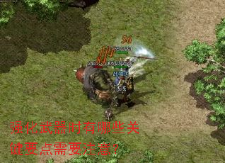 ǿ������ʱ����Щ�ؼ�Ҫ����Ҫע�⣿