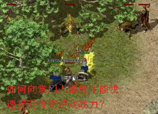 �������������̲��ܿ�������������Ϸս����