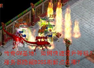 传奇GM基地:如何快速提升等级?服务器隐藏BOSS刷新点在哪? 传奇GM基地:如何快速提升等级?服务器隐藏BOSS刷新点在哪?
