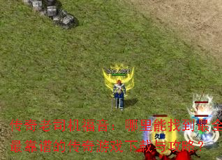 传奇老司机福音:哪里能找到最全最靠谱的传奇游戏下载与攻略? 传奇老司机福音:哪里能找到最全最靠谱的传奇游戏下载与攻略?