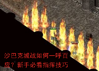 ɳ�Ϳ˳�ս���һ����Ӧ�����ֱؿ�ָ�Ӽ���