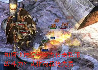 如何快速提升复古传奇私服战斗力?武林秘籍抢先看 如何快速提升复古传奇私服战斗力?武林秘籍抢先看