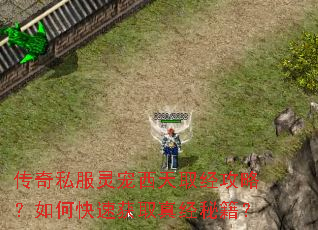传奇私服灵宠西天取经攻略?如何快速获取真经秘籍? 传奇私服灵宠西天取经攻略?如何快速获取真经秘籍?