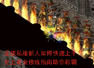 龙族私服新人如何快速上手?史上最全修炼指南助你称霸 龙族私服新人如何快速上手?史上最全修炼指南助你称霸