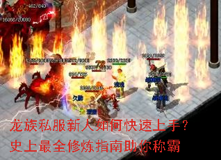 龙族私服新人如何快速上手?史上最全修炼指南助你称霸 龙族私服新人如何快速上手?史上最全修炼指南助你称霸