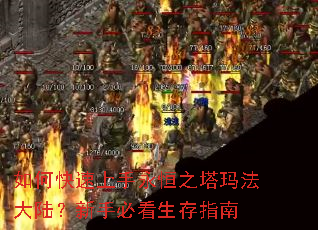 如何快速上手永恒之塔玛法大陆?新手必看生存指南 如何快速上手永恒之塔玛法大陆?新手必看生存指南