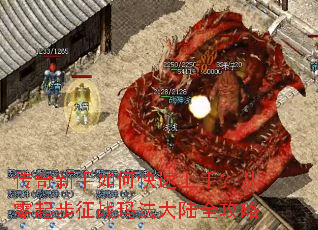 传奇新手如何快速上手?从零起步征战玛法大陆全攻略 传奇新手如何快速上手?从零起步征战玛法大陆全攻略