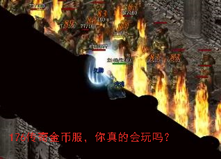 176传奇金币服,你真的会玩吗? 176传奇金币服,你真的会玩吗?