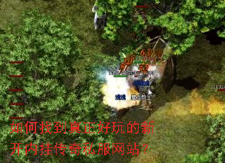 如何找到真正好玩的新开内挂传奇私服网站? 如何找到真正好玩的新开内挂传奇私服网站?