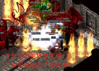 传奇合击网址微变服,新手如何快速上手变大神? 传奇合击网址微变服,新手如何快速上手变大神?