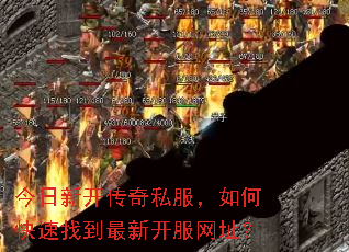 �����¿�����˽������ο����ҵ����¿�����ַ��