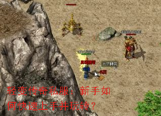 ��䴫��˽����������ο������ֲ���ת��
