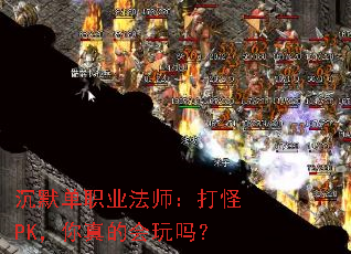 ��Ĭ��ְҵ��ʦ�����PK������Ļ�����