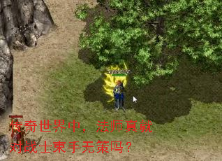 传奇世界中,法师真就对战士束手无策吗? 传奇世界中,法师真就对战士束手无策吗?