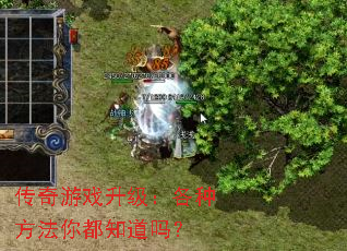 传奇游戏升级:各种方法你都知道吗? 传奇游戏升级:各种方法你都知道吗?