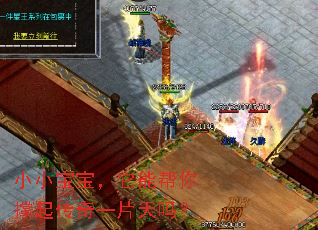 小小宝宝,它能帮你撑起传奇一片天吗? 小小宝宝,它能帮你撑起传奇一片天吗?