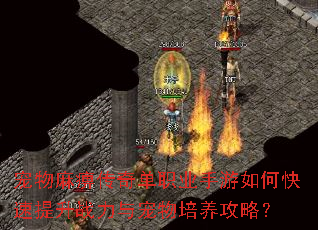 宠物麻痹传奇单职业手游如何快速提升战力与宠物培养攻略? 宠物麻痹传奇单职业手游如何快速提升战力与宠物培养攻略?