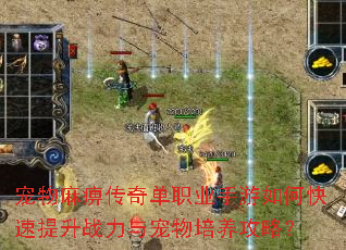 宠物麻痹传奇单职业手游如何快速提升战力与宠物培养攻略? 宠物麻痹传奇单职业手游如何快速提升战力与宠物培养攻略?