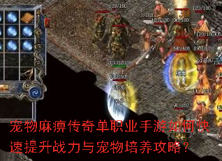宠物麻痹传奇单职业手游如何快速提升战力与宠物培养攻略? 宠物麻痹传奇单职业手游如何快速提升战力与宠物培养攻略?