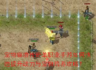 宠物麻痹传奇单职业手游如何快速提升战力与宠物培养攻略? 宠物麻痹传奇单职业手游如何快速提升战力与宠物培养攻略?