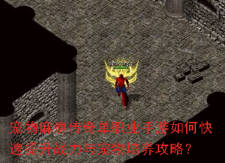 宠物麻痹传奇单职业手游如何快速提升战力与宠物培养攻略? 宠物麻痹传奇单职业手游如何快速提升战力与宠物培养攻略?