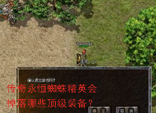 传奇永恒蜘蛛精英会掉落哪些顶级装备? 传奇永恒蜘蛛精英会掉落哪些顶级装备?
