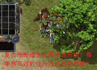 复古传奇道士如何快速升级?有哪些高效打怪与技能搭配攻略? 复古传奇道士如何快速升级?有哪些高效打怪与技能搭配攻略?
