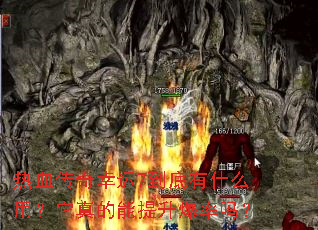 ��Ѫ��������7������ʲô�ã������������������