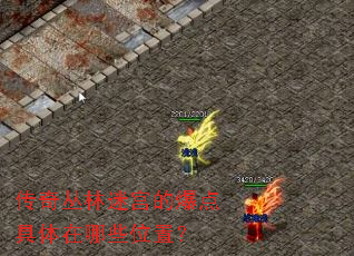 传奇丛林迷宫的爆点具体在哪些位置? 传奇丛林迷宫的爆点具体在哪些位置?
