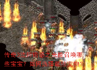传奇3法师诱惑之光能召唤哪些宝宝?如何选择最佳宠物? 传奇3法师诱惑之光能召唤哪些宝宝?如何选择最佳宠物?
