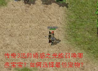 传奇3法师诱惑之光能召唤哪些宝宝?如何选择最佳宠物? 传奇3法师诱惑之光能召唤哪些宝宝?如何选择最佳宠物?