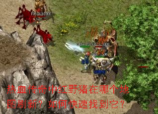 热血传奇中红野猪在哪个地图刷新?如何快速找到它? 热血传奇中红野猪在哪个地图刷新?如何快速找到它?