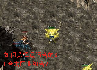 ���ѡ�����ʺϵ�SF�ϻ�ְҵ��ϣ�