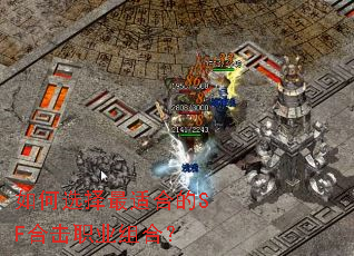 ���ѡ�����ʺϵ�SF�ϻ�ְҵ��ϣ�