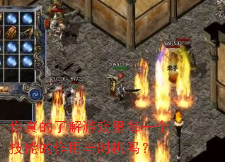 你真的了解游戏里每一个技能的作用与时机吗? 你真的了解游戏里每一个技能的作用与时机吗?