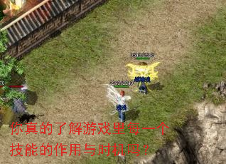 你真的了解游戏里每一个技能的作用与时机吗? 你真的了解游戏里每一个技能的作用与时机吗?