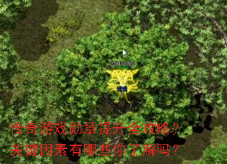 传奇游戏勋章提升全攻略?关键因素有哪些你了解吗? 传奇游戏勋章提升全攻略?关键因素有哪些你了解吗?