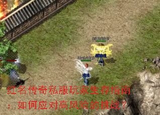 红名传奇私服玩家生存指南:如何应对高风险的挑战? 红名传奇私服玩家生存指南:如何应对高风险的挑战?