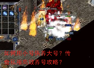 如何用小号供养大号?传奇私服高效养号攻略? 如何用小号供养大号?传奇私服高效养号攻略?