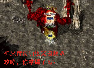 神火传奇顶级宠物获取攻略,你掌握了吗? 神火传奇顶级宠物获取攻略,你掌握了吗?