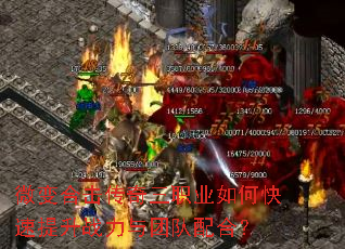 ΢��ϻ�������ְҵ��ο�������ս�����Ŷ���ϣ�