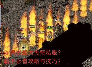 ��η�ʢ����˽�������ֱؿ������뼼�ɣ�