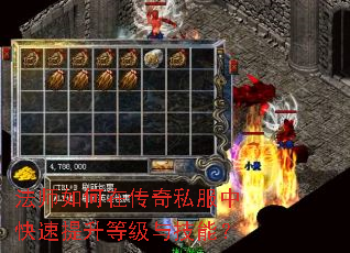 法师如何在传奇私服中快速提升等级与技能? 法师如何在传奇私服中快速提升等级与技能?